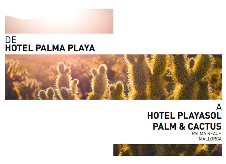 Hoteles Playa Sol - Whotells